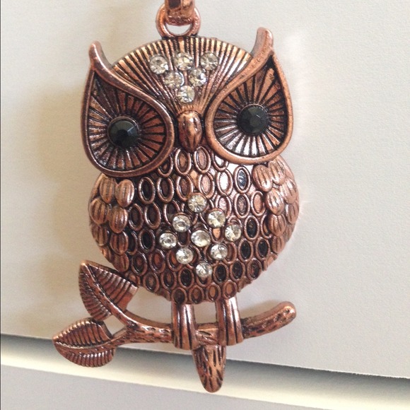 Copper owl necklace