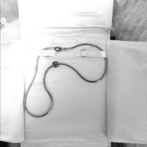 Authentic pandora necklace with charm