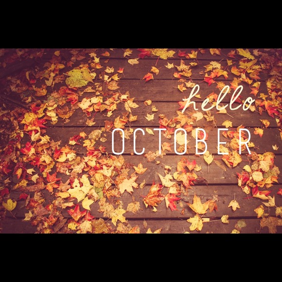 Closet is under construction!