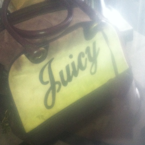 Juicy Couture dog bag.