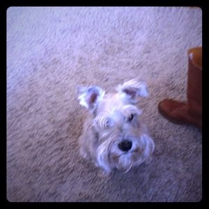 Momma's helper.