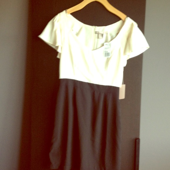 NEW Forever 21 ivory & black dress