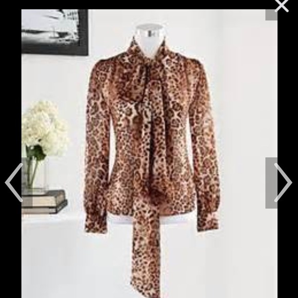 Eva Mendes NY&co blouse