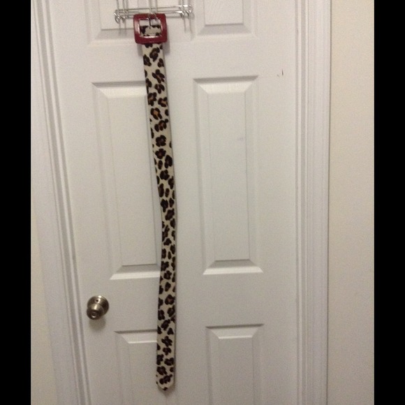 Wide animal print belt