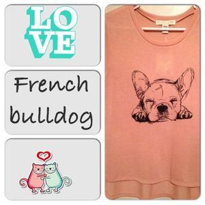 French bulldog hi low top