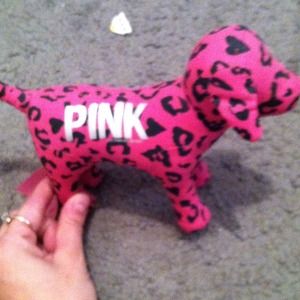 🚨free with purchase of a VS item in my closet🚨