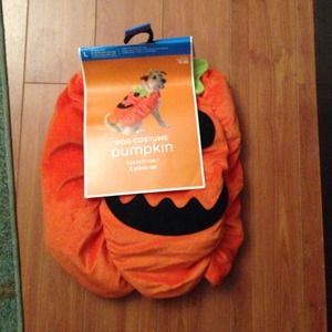 Target dog costume pumpkin medium new n bumblebee