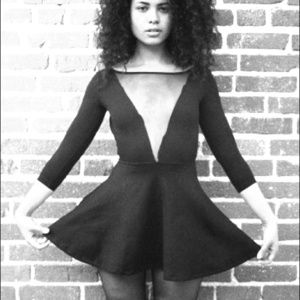 American Apparel Ponte Gloria-V Skater Dress