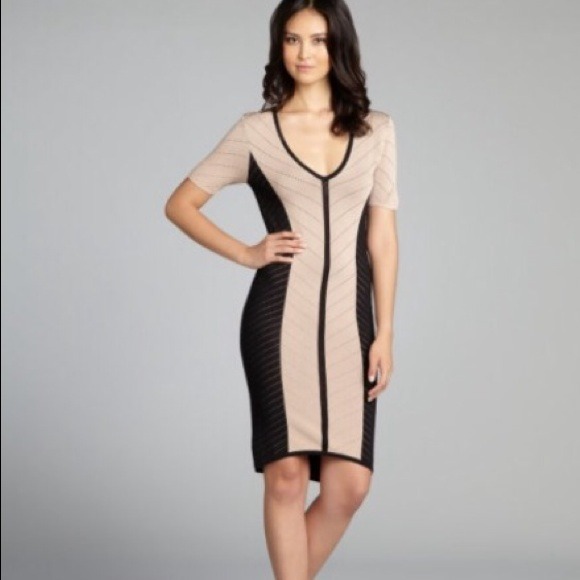 Torn by Ronny Kobo Black and Beige Bodycon Dress!!