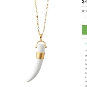 Very Popular Horn necklace