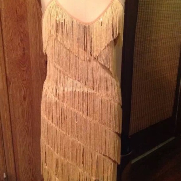 Great gatsby flapper gold dress