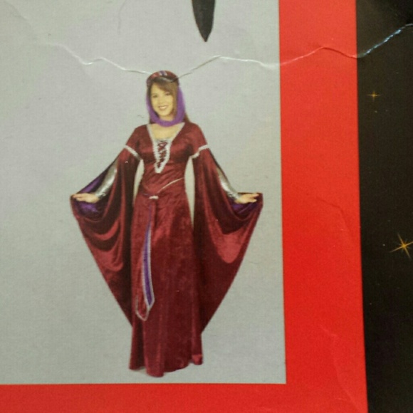 Enchantress of Camelot medieval Halloween costume