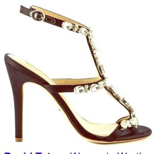 David Tutera heels