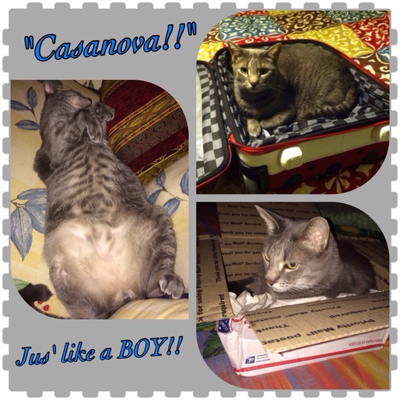 😱😱ALLERGY ALERT😱😱 - Picture 2 of 4