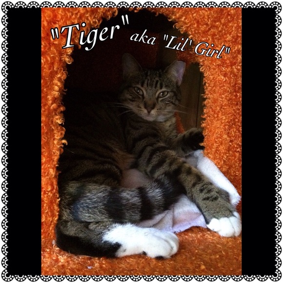 😱😱ALLERGY ALERT😱😱 - Picture 3 of 4