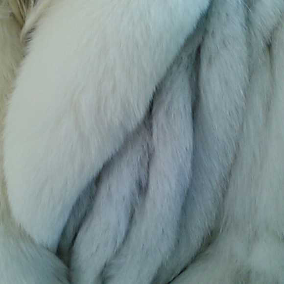 Vintage Blue Fox Fur - Picture 4 of 4