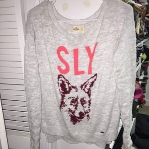 Sly Fox sweater from Hollister