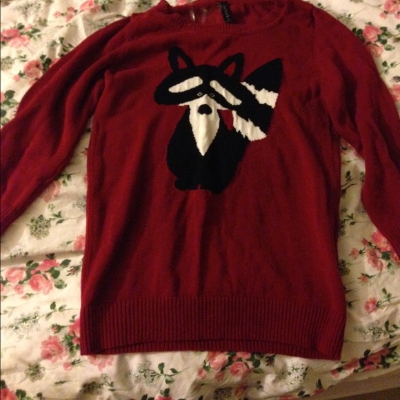 Racoon Sweater