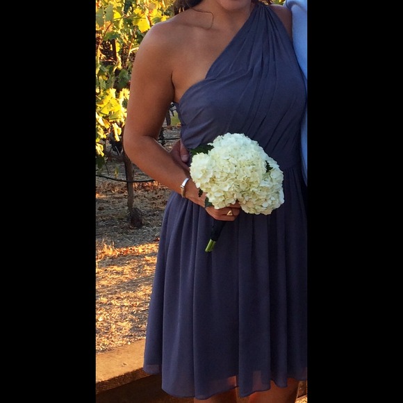 bill levkoff Style 447 / Pewter Chiffon 2014