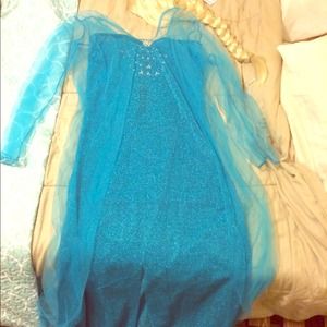 Adult Elsa Costume