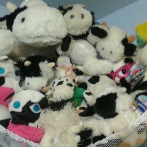 Meet the cows! Always up for trades!!