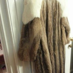 Elegant fur shadow white  fox with raccoon