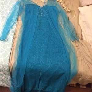 Adult Elsa costume