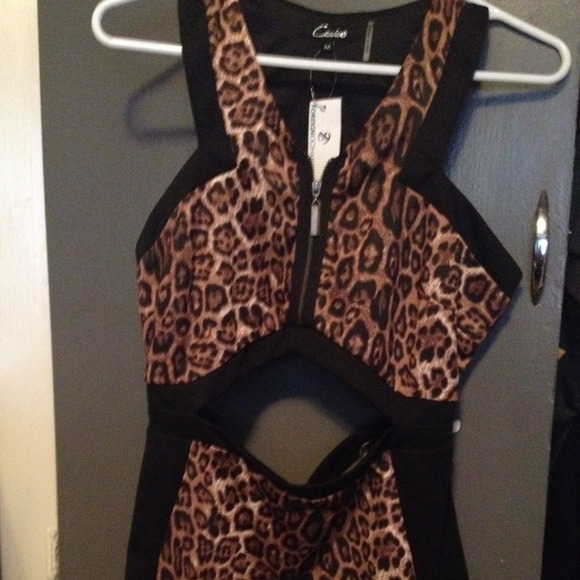 Leopard bodycon dress.