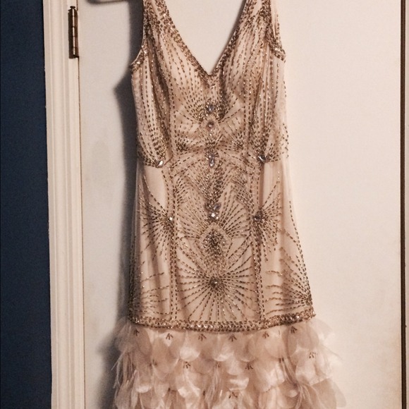 Sue Wong Dress and vs bra bundle