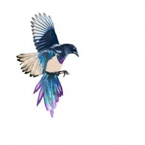 New Set of 2 Bird Colorful Temporary Tattoos