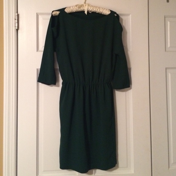 Zara Evergreen dress - Picture 1 of 1