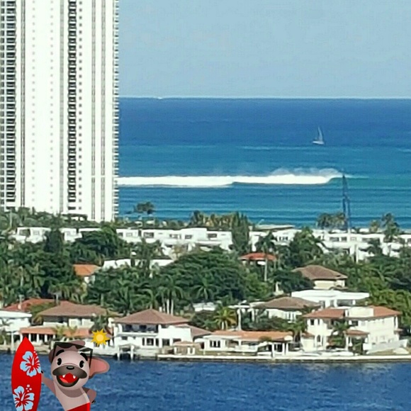 🌴💕Welcome to my Closet💕🌴 - Picture 2 of 8