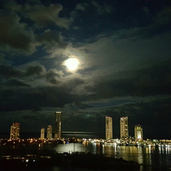 🌴💕Welcome to my Closet💕🌴 - Picture 4 of 8