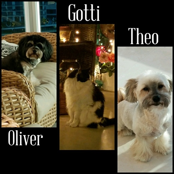 🌴💕Welcome to my Closet💕🌴 - Picture 3 of 8