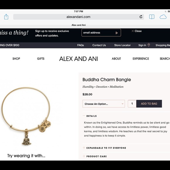 Alex and Ani Buddha charm bangle