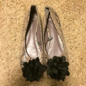 Steve Madden flats