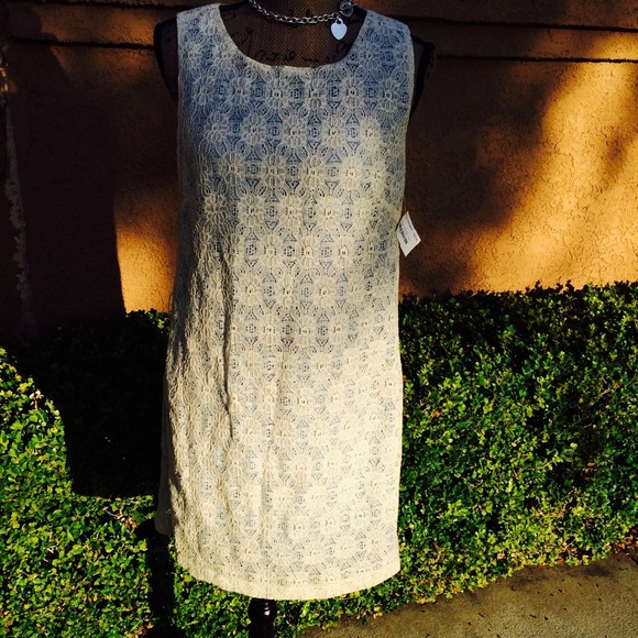 Ivory Lace Dress with baby blue lining