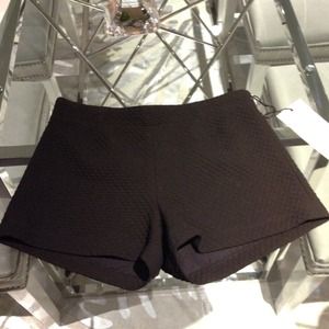 Bailey44 Black Shorts