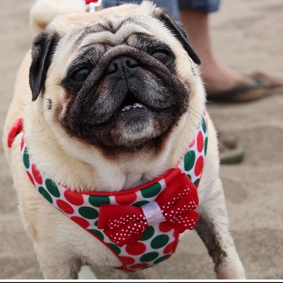 📎Bookmark My Closet! ✏️About Me - Picture 4 of 4