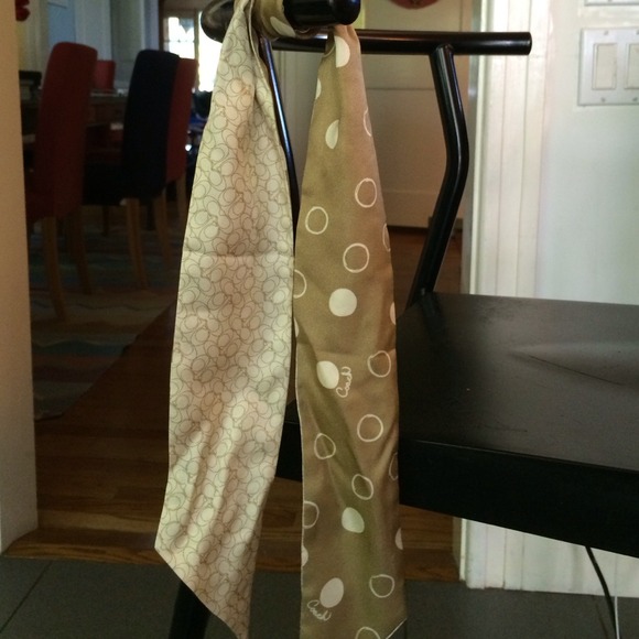 Coach Pony Scarf