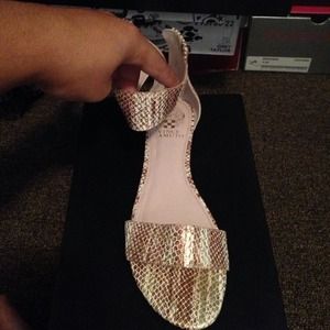 Vince Camuto