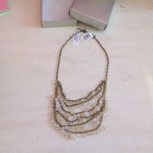 Brand new necklace with box! Very stylish!