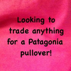 Really want a Patagonia pullover!