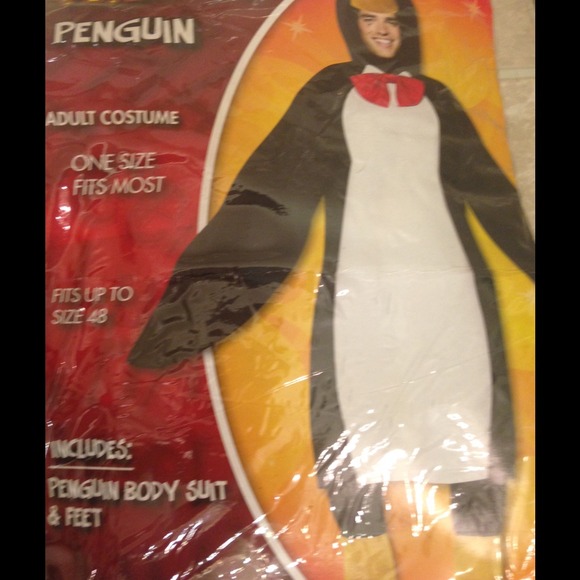Halloween costume!!! Only worn once!!