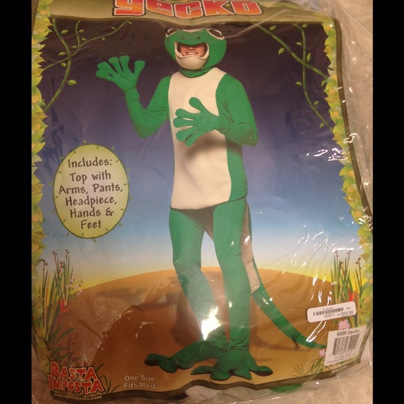 Halloween costume! Only worn once. Like new!