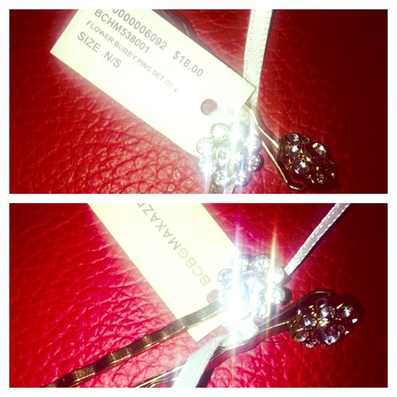 1 DAY SPECIAL BOBBY PIN SET OF 2 (NEW)