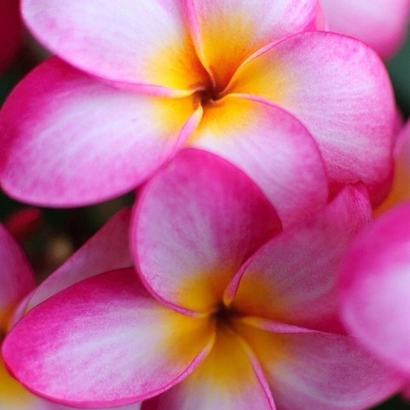 Everything!! - Picture 2 of 2