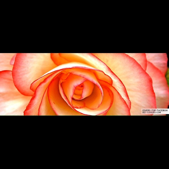 Top - Picture 4 of 4