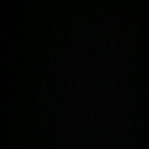 Calvin Klein, loft, shirt bundle