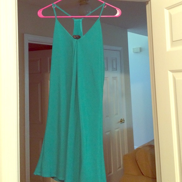 Naked Zebra Chiffon Teal Dress